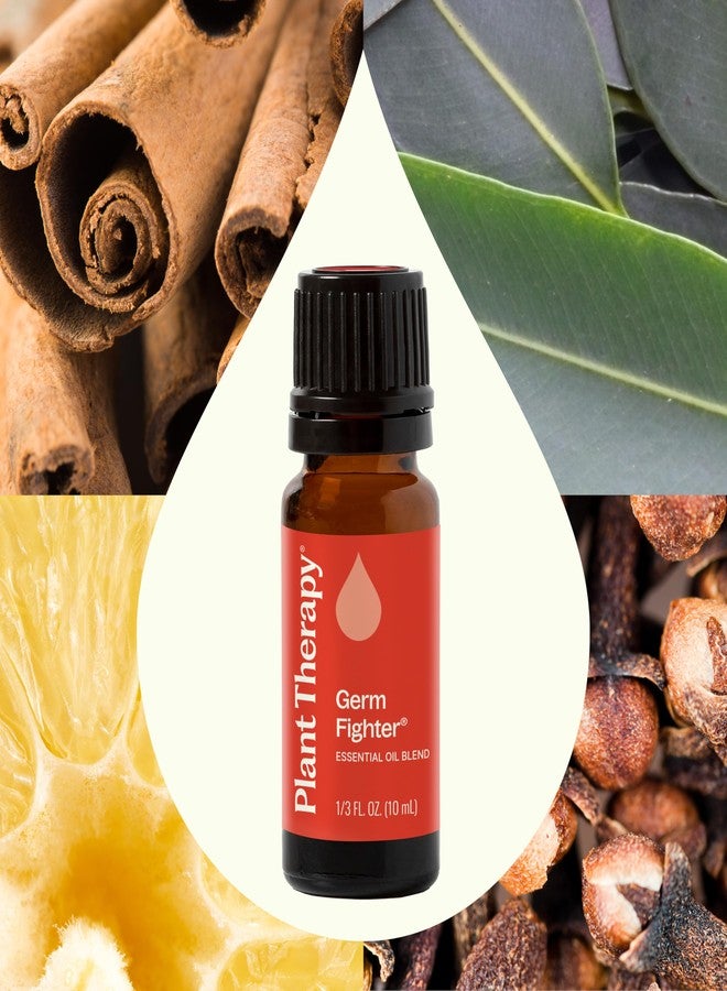 Plant Therapy Germ Fighter Essential Oil Blend Pure, Natural Aromatherapy, for Diffusion & Topical Use, DIY Multi-Surface Cleaner, Hand Cleanser, Home or Office Use, Therapeutic Grade 10 mL (1/3 oz) - Image 3